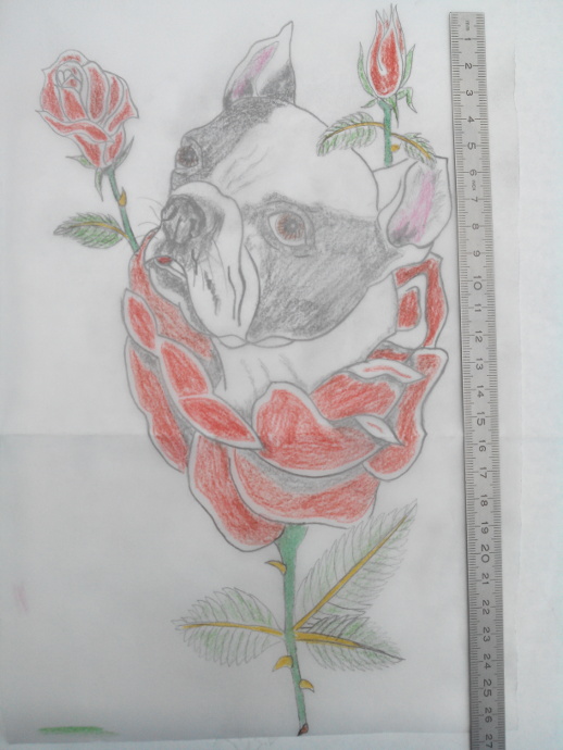 dessins